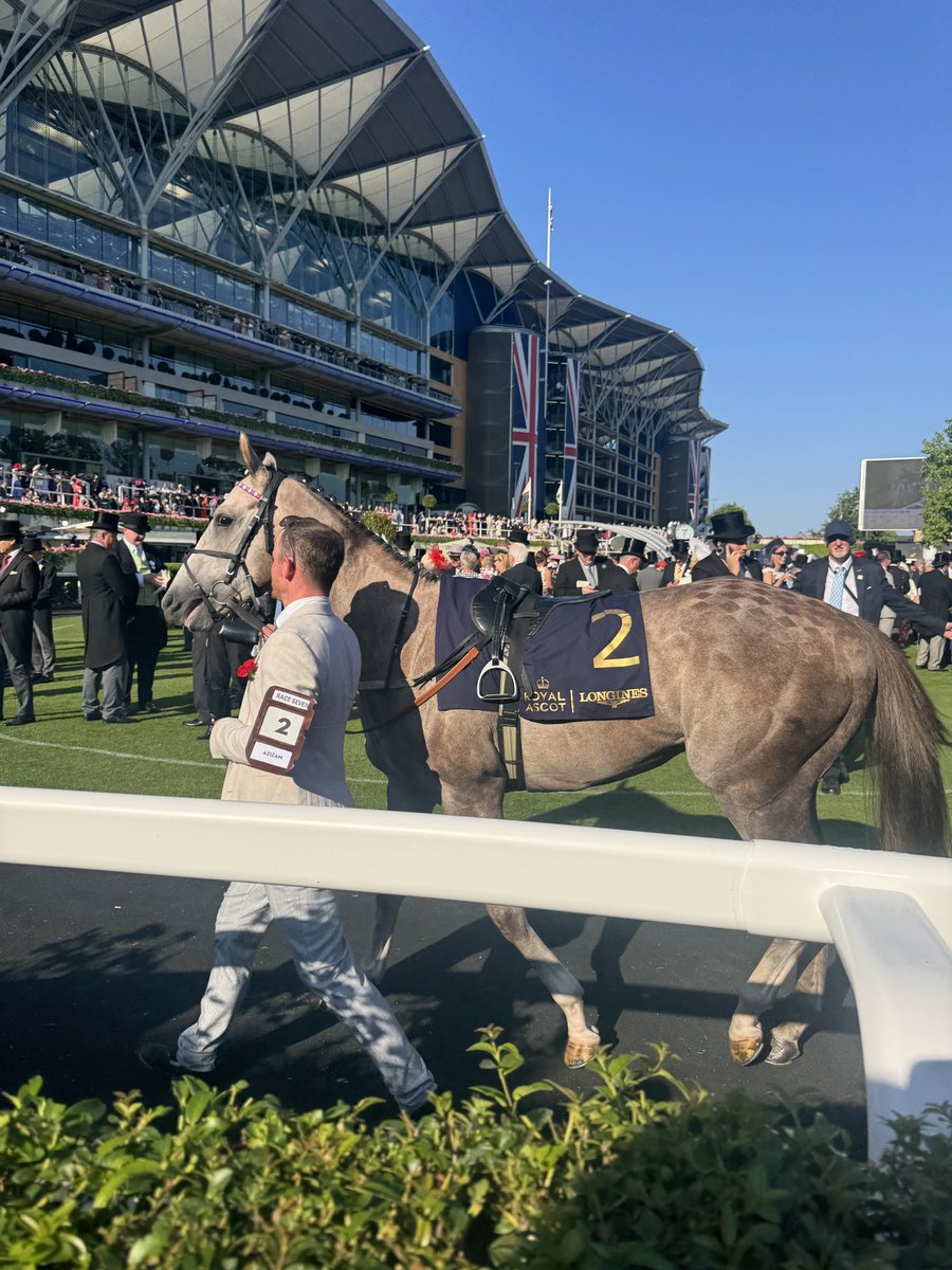 Black Type Thoroughbreds tweet media