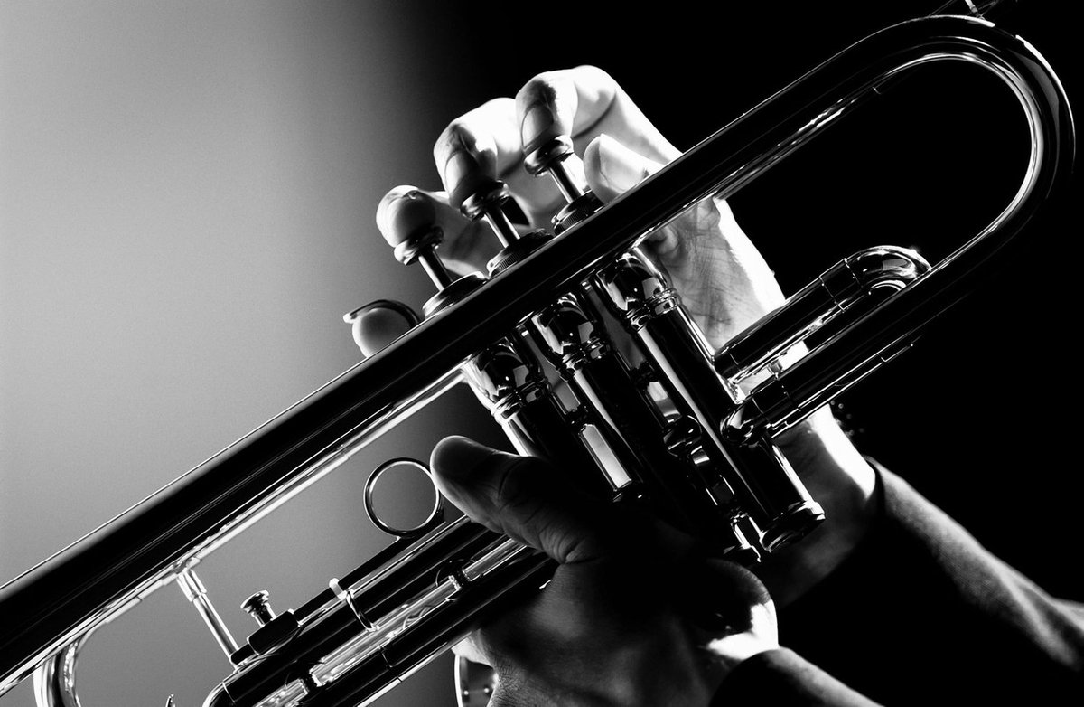 teds_list's tweet image. The trumpet and the cornet are brass instruments with a conical bore that forms sound when air is blown through them. But how a 𝗟𝗲𝗮𝗿𝗻 𝗔 𝗠𝘂𝘀𝗶𝗰𝗮𝗹 𝗜𝗻𝘀𝘁𝗿𝘂𝗺𝗲𝗻𝘁 𝗥𝗶𝗴𝗵𝘁 𝗡𝗼𝘄 #musiccomposition #trumpetsolo #trumpetlessons #música rfr.bz/t538d72