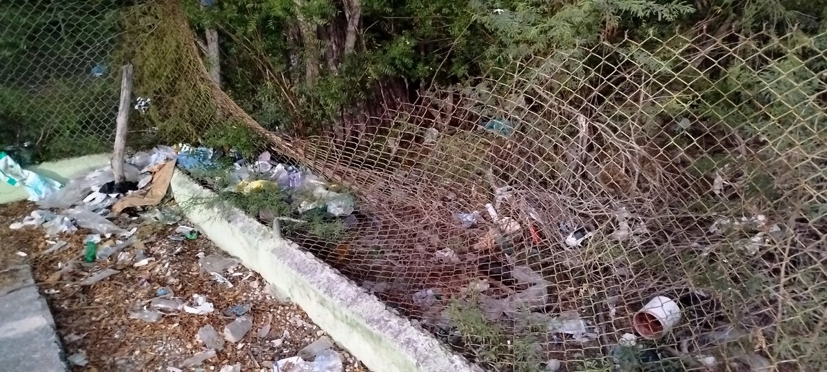 AdonySamuel's tweet photo. Cristóbal Es el único Municipio de la Prov. Independencia que no cuenta con instalaciones aptas para albergar personas @kelvincruzrd, ya que representan un peligro, en usted y nuestro señor presidente está puesta nuestra confianza, con tamos con ustedes @JosePaliza @luisabinader https://t.co/N2J2L0Vxfl