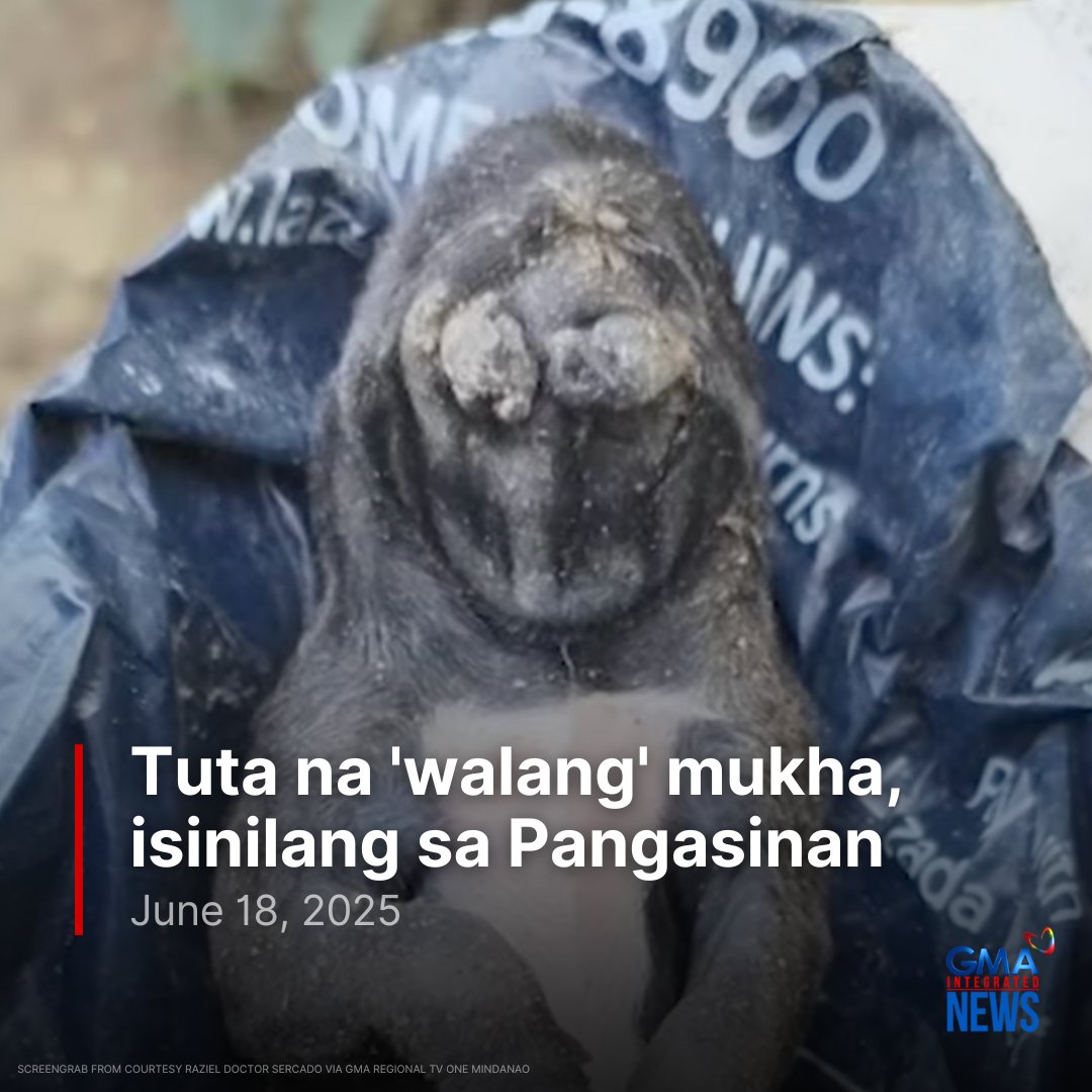 Laking gulat ng isang pamilya sa Brgy. San Simon sa Bani, Pangasinan, nang makita ang isa sa isinilang na tuta ng kanilang alagang aso na "walang" mukha.

Sa ulat ni CJ Torida sa GMA Regional TV One North Central Luzon nitong Miyerkoles, sinabi ni Raziel Doctor-Sercado, amo ng