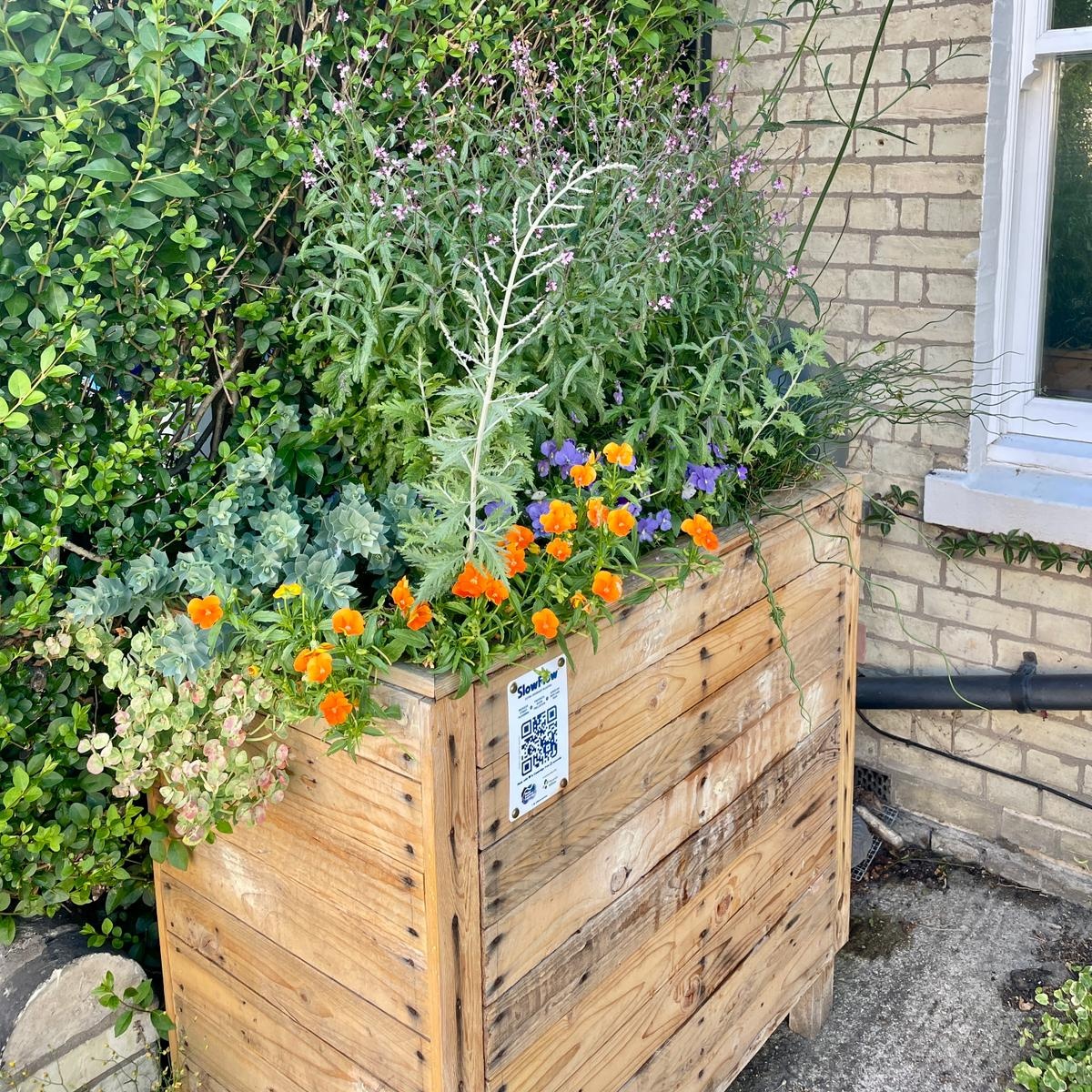 WaterSenCam's tweet image. Rain gardens aren&apos;t just for rain! A happy customer in Abbey, Cambridge, sent this delightful photo of their #SlowFlow Rain Planter, this year full of flowers. Deep rain-fed planters like this one maintain soil moisture, even through extended periods of hot dry weather.