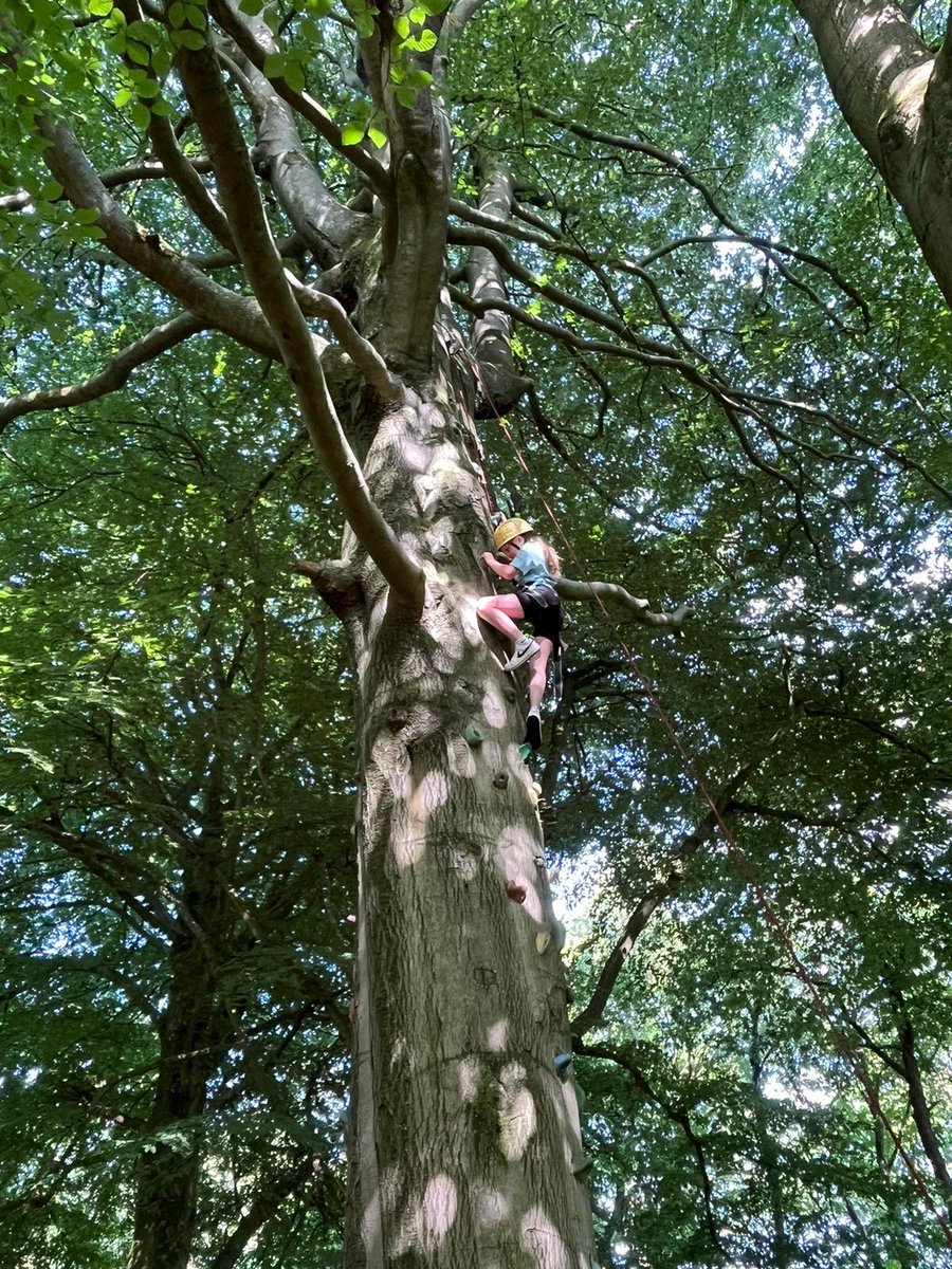 Race you to the top! Activity 1: tree climbing experts 🌳