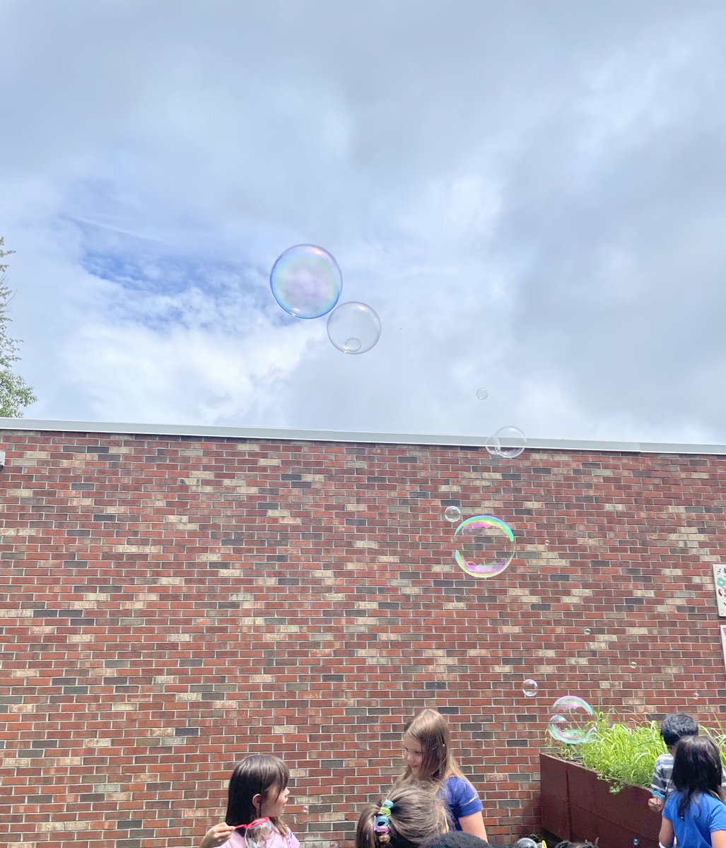 Mrs. Koster tweet media