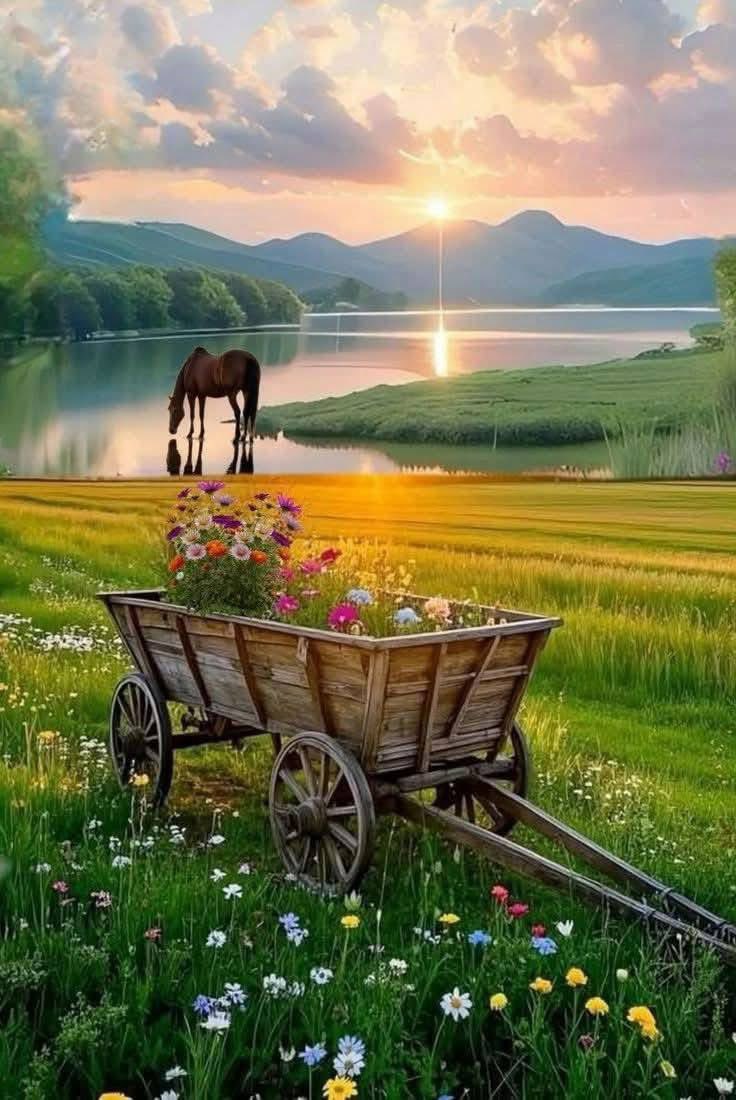 Өглөөний мэндээ,энэ өдрийн ажил үйлсэд нь өндөрөөс өндөр амжилт хүсье!🇲🇳🇲🇳🇲🇳🇲🇳🇲🇳🇲🇳🇲🇳🇲🇳🇲🇳