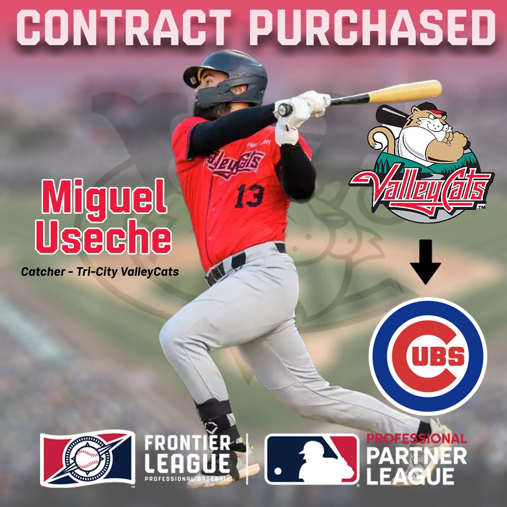 FLProBaseball's tweet photo. 🎉 CONGRATULATIONS 🎉 to @ValleyCats Catcher Miguel Useche on having his contract purchased by the @Cubs! https://t.co/PND3v7jPja
