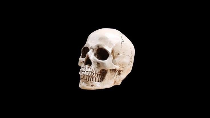 NlNTHSAINT's tweet image. ⠂⠈ i pray the tomb is shut forever. i pray the rock is never rolled away. ⠠⠁†