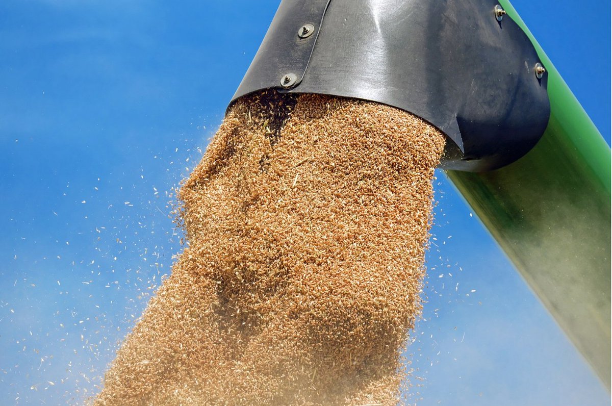 When farmers can’t deliver on their commitment due to drought, flood or other factors, a forward contract may prove costly. Forward contract insurance may be the answer to this dilemma grainswest.com/2025/03/pain-m…