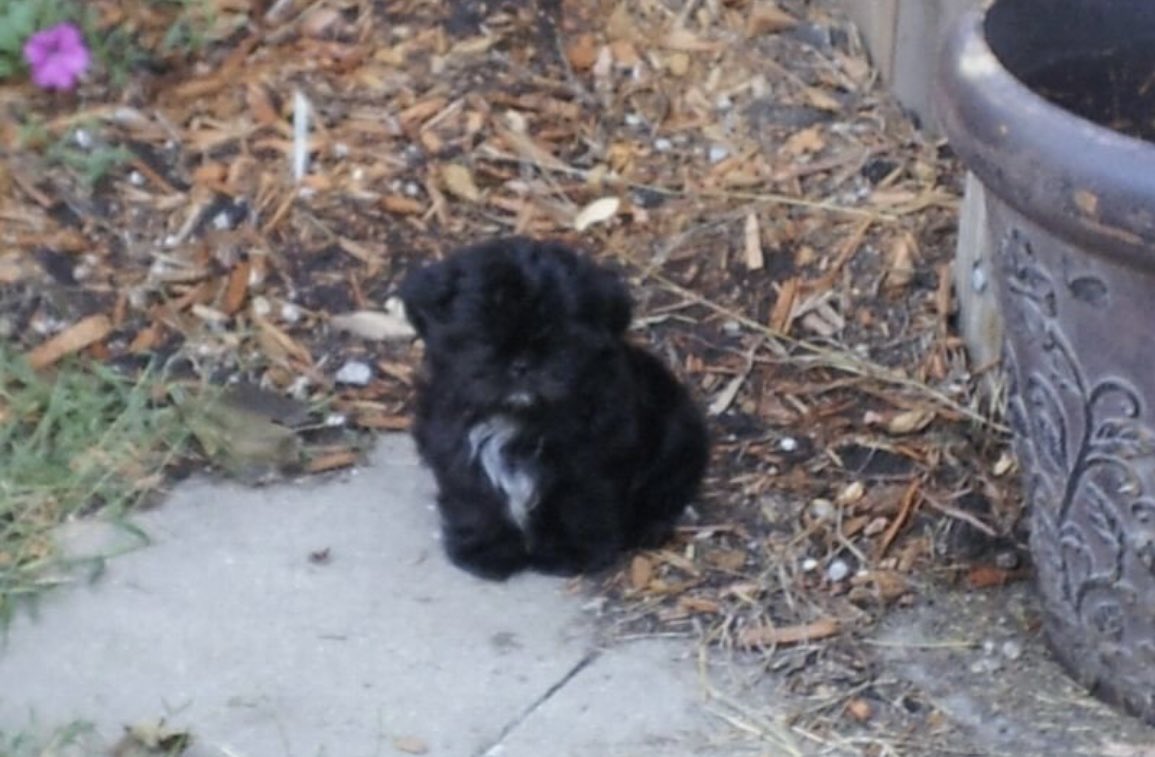 SarahSevans2000's tweet image. Baby Jack 2011 and now