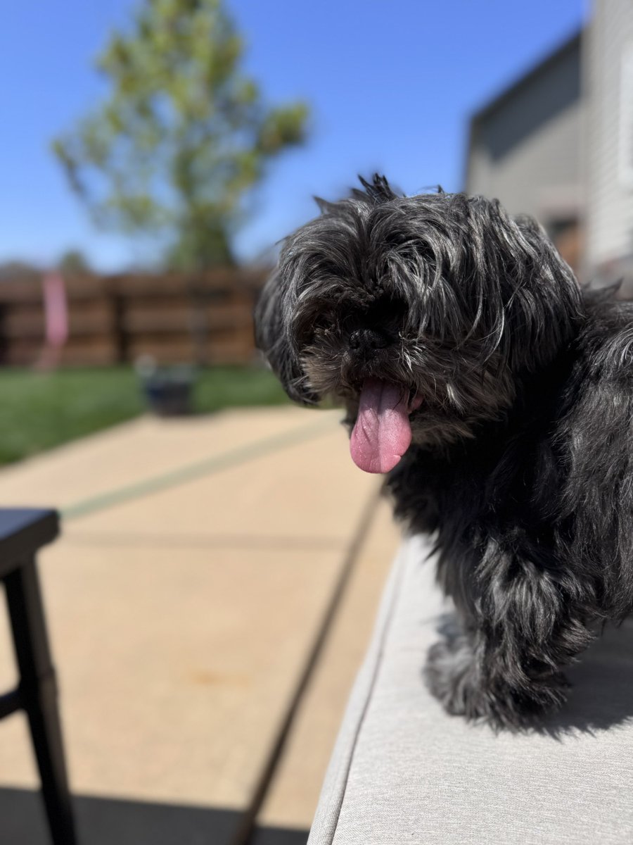 SarahSevans2000's tweet image. Baby Jack 2011 and now