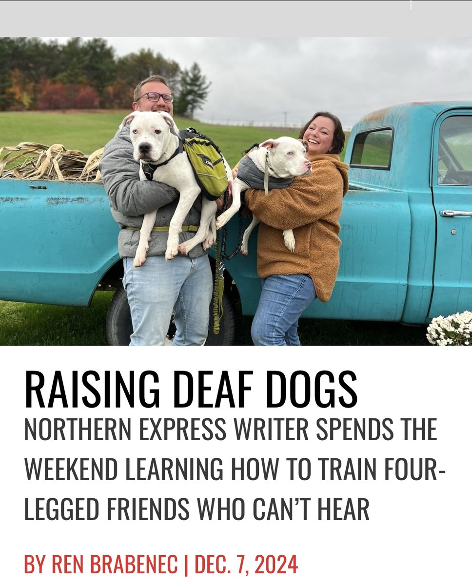 RenBrabenec's tweet image. One of my favorite pieces from last year, I got to embed with a family that specializes in raising and training deaf dogs. #deafdog #raisingdeafdogs #trainingdeafdogs
northernexpress.com/news/feature/r…