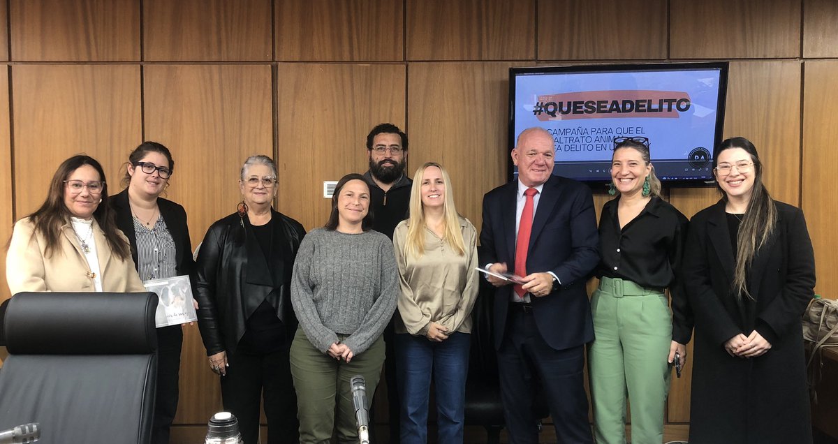 ¡Hoy dimos otro gran paso! 

Fuimos recibidos por la Comisión Parlamentaria de Bienestar Animal y queremos agradecer profundamente su atención y el compromiso demostrado.