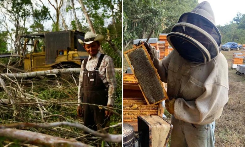 🐝🌾 Menonitas en Yucatán, “un problema ambiental grave”: la secretaria de <a href="/SEMARNAT_mx/">SEMARNAT México</a>, Alicia Bárcena, reveló cómo la comunidad menonita está arrasando con la selva, usando plaguicidas prohibidos. ¿Qué está sucediendo? Abrimos hilo. 🧵 (1/7)