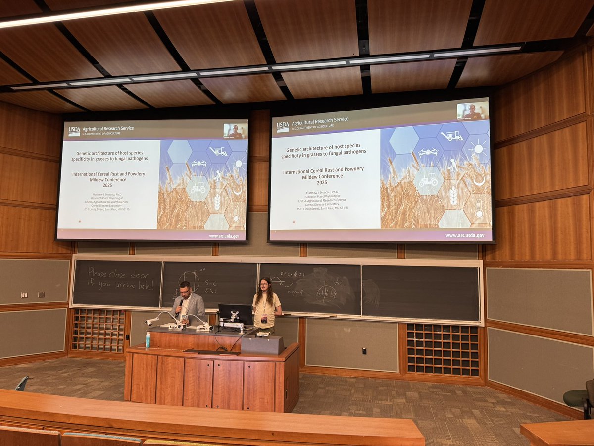 Gurcharn Singh Brar ਗੁਰਚਰਨ ਸਿੰਘ ਬਰਾੜ (@gurcharn_brar) on Twitter photo Plenary session 4 starting with <a href="/MatthewMoscou/">Matthew Moscou</a> at <a href="/17thICRPMC/">17th Intl Cereal Rusts & Powdery Mildew Conference</a> <a href="/phytopathca/">CPS</a> <a href="/globalrust/">Borlaug Global Rust Initiative</a> meeting. Session chaired by <a href="/CurtisPozniak/">Curtis Pozniak</a> #ICRPMC2025 Plenary session 4 starting with <a href="/MatthewMoscou/">Matthew Moscou</a> at <a href="/17thICRPMC/">17th Intl Cereal Rusts & Powdery Mildew Conference</a> <a href="/phytopathca/">CPS</a> <a href="/globalrust/">Borlaug Global Rust Initiative</a> meeting. Session chaired by <a href="/CurtisPozniak/">Curtis Pozniak</a> #ICRPMC2025