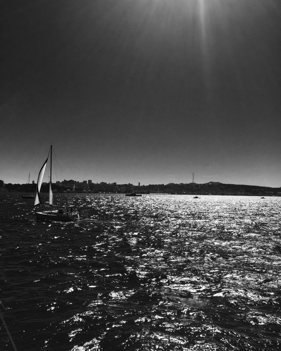 Sailing again with my dear old friend, Captain “Kingsley” Robertson, near “my City by the Bay” 😁

#photography #bwphotography #photosbyross #thebay #sailing #pacificocean