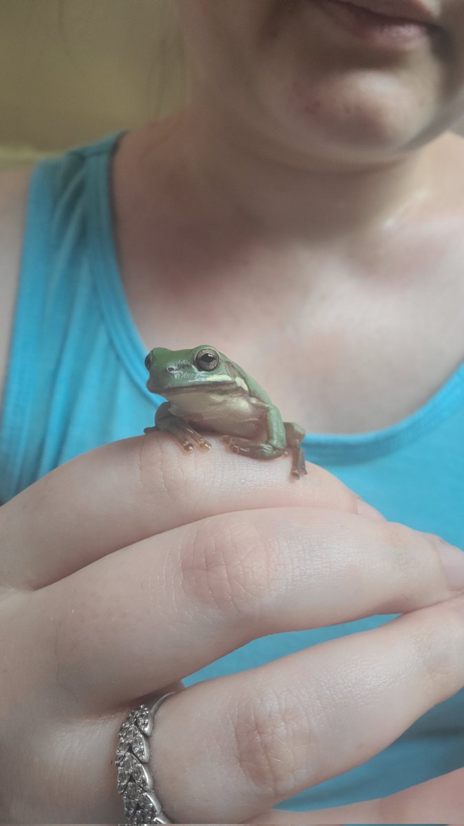 Harley Darnbrough tweet media