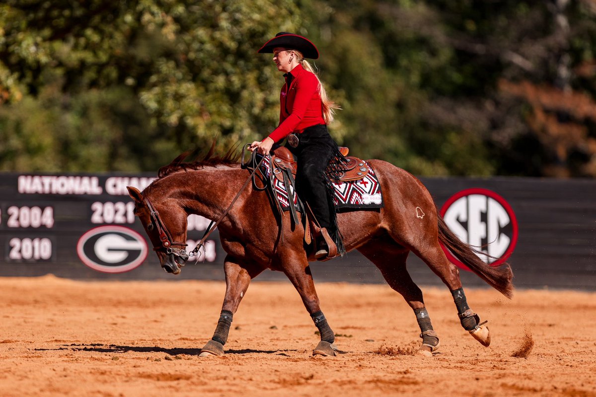 UGAEquestrian's tweet image. The ladies in the lead💪

#GoDawhs | #OurTime