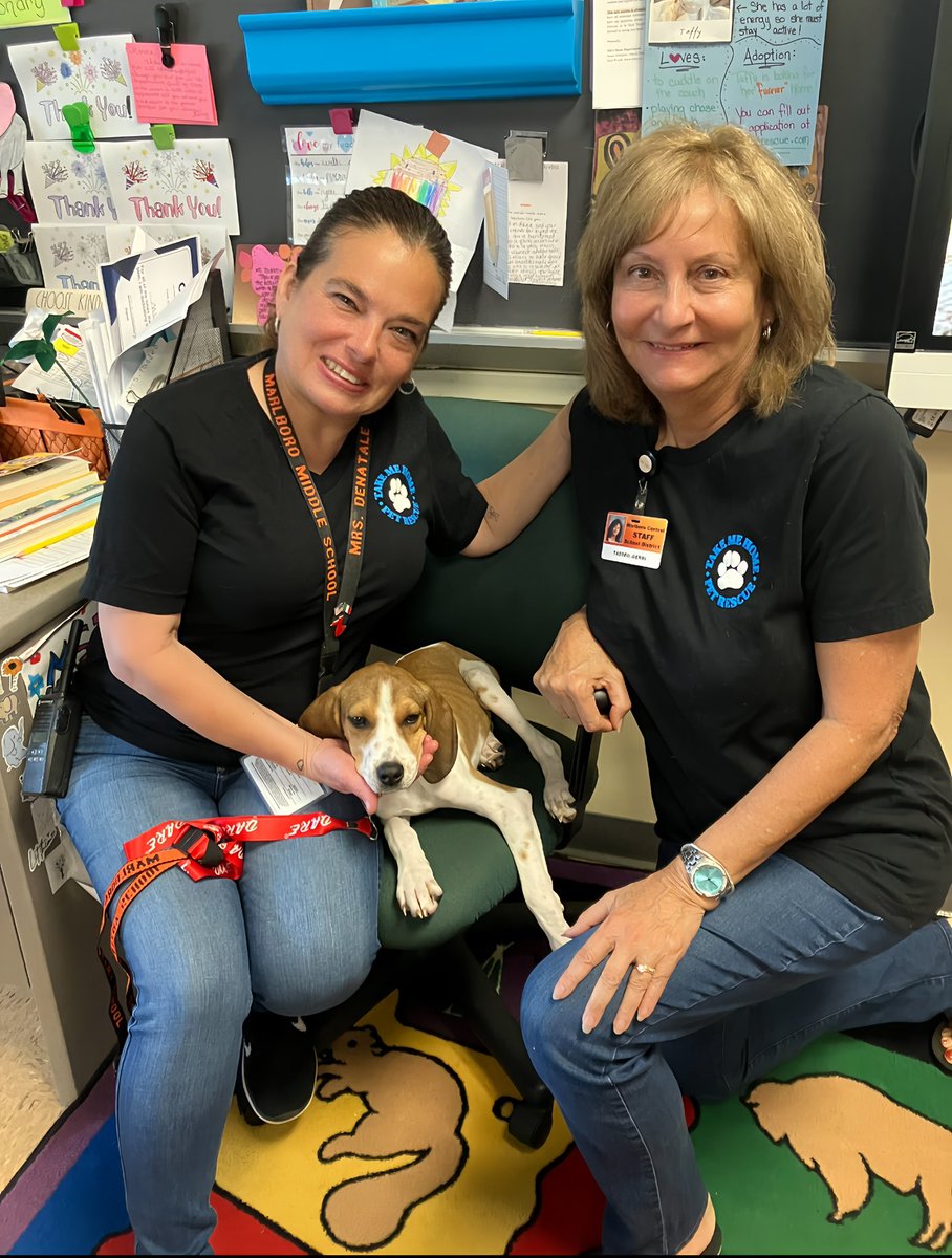 Ms. Taddeo tweet media