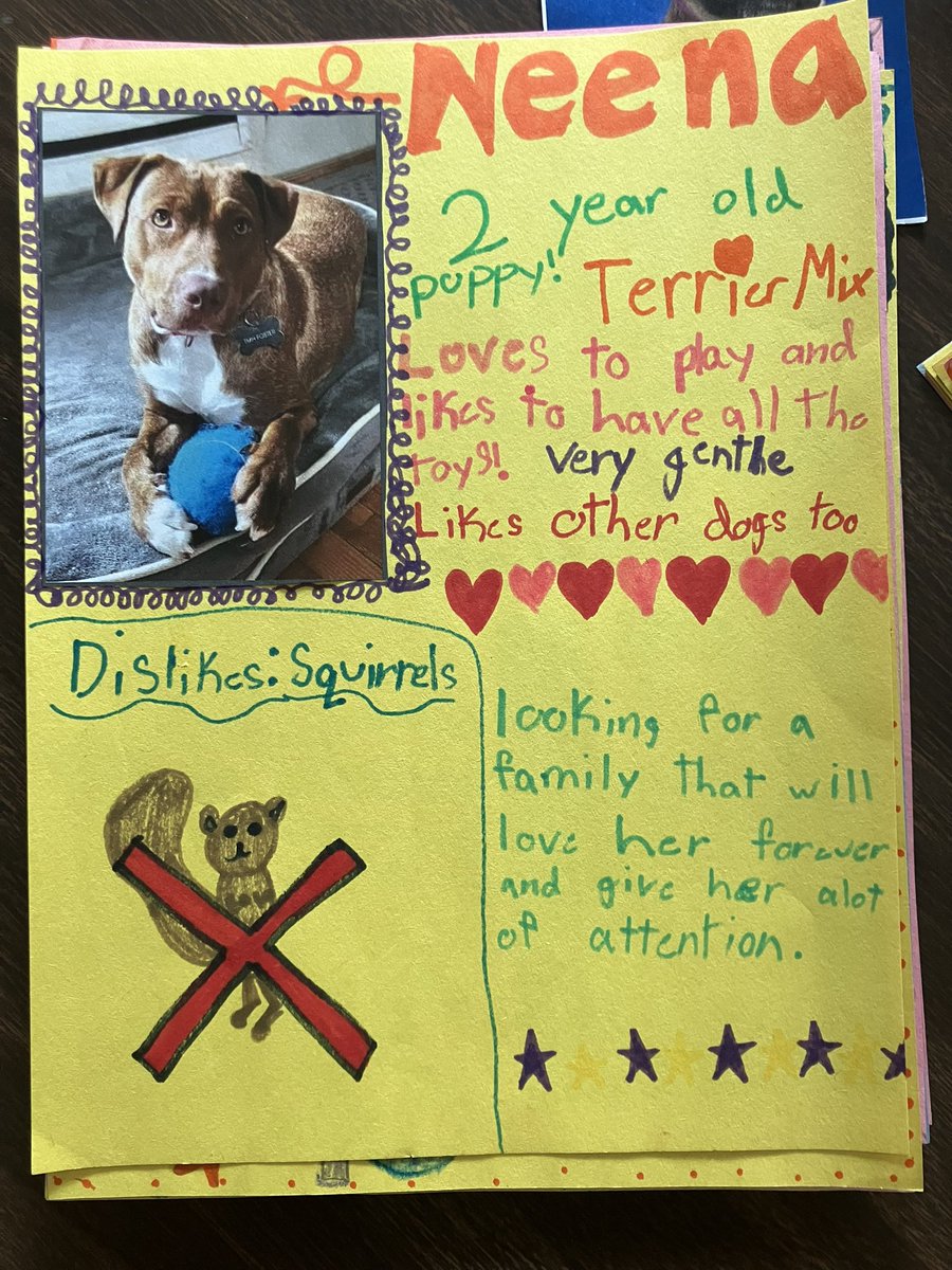 Ms. Taddeo tweet media