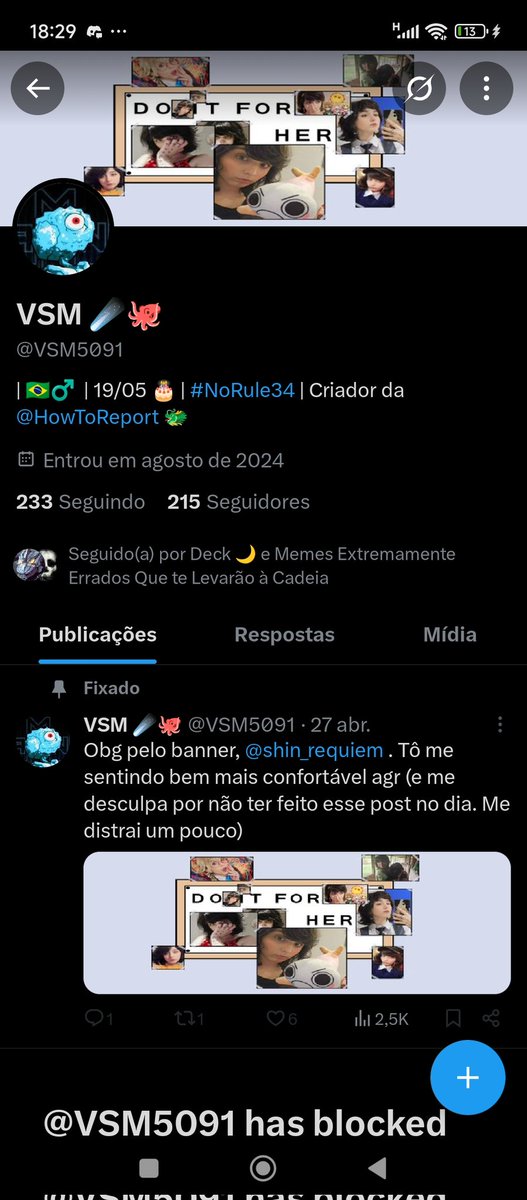 Chick Hicks CRVG e Palmeiras tweet media