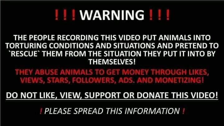 <a href="/chihuahua_jctio/">chihuahua_junction</a>