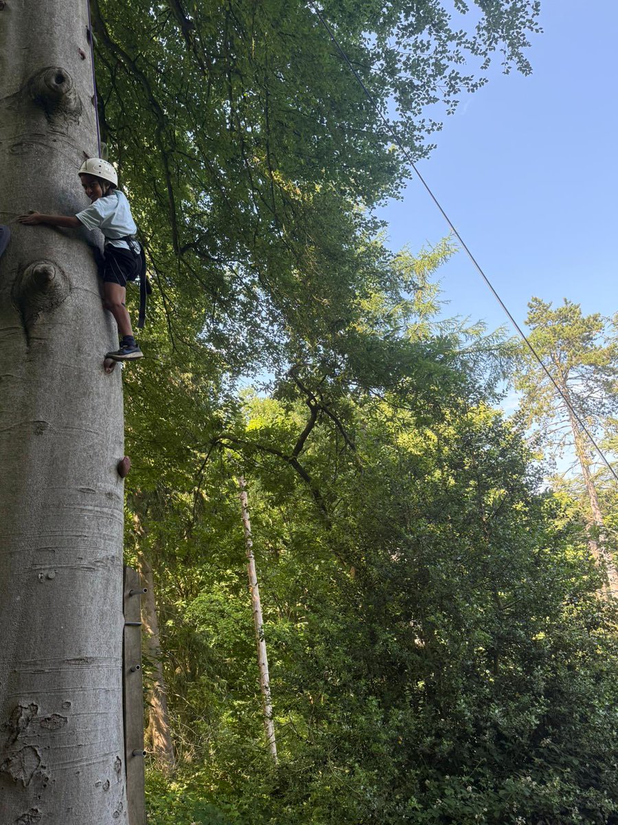 MrsSutton tweet media