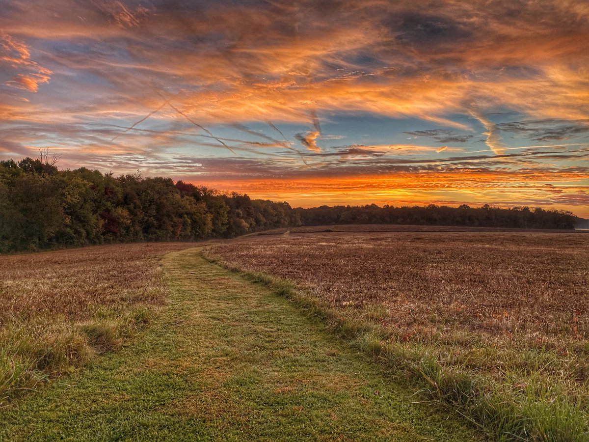 There are currently 63 homes for sale in Mount Vernon, Ohio which is roughly 3 times as many as we had available last year at this time.  This is super fantastic news for buyers and home owners who are looking to upgrade - Check out what is available sammillersells.com/results-galler…