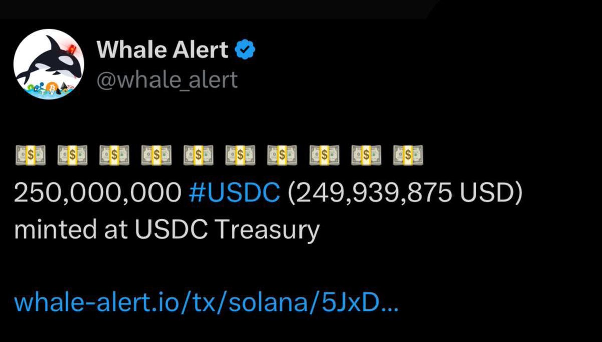 cryptojack's tweet image. ๐จ BREAKING ๐จ
$250,000,000 $USDC JUST MINTED
WHLES BUYING THE DIP !!!