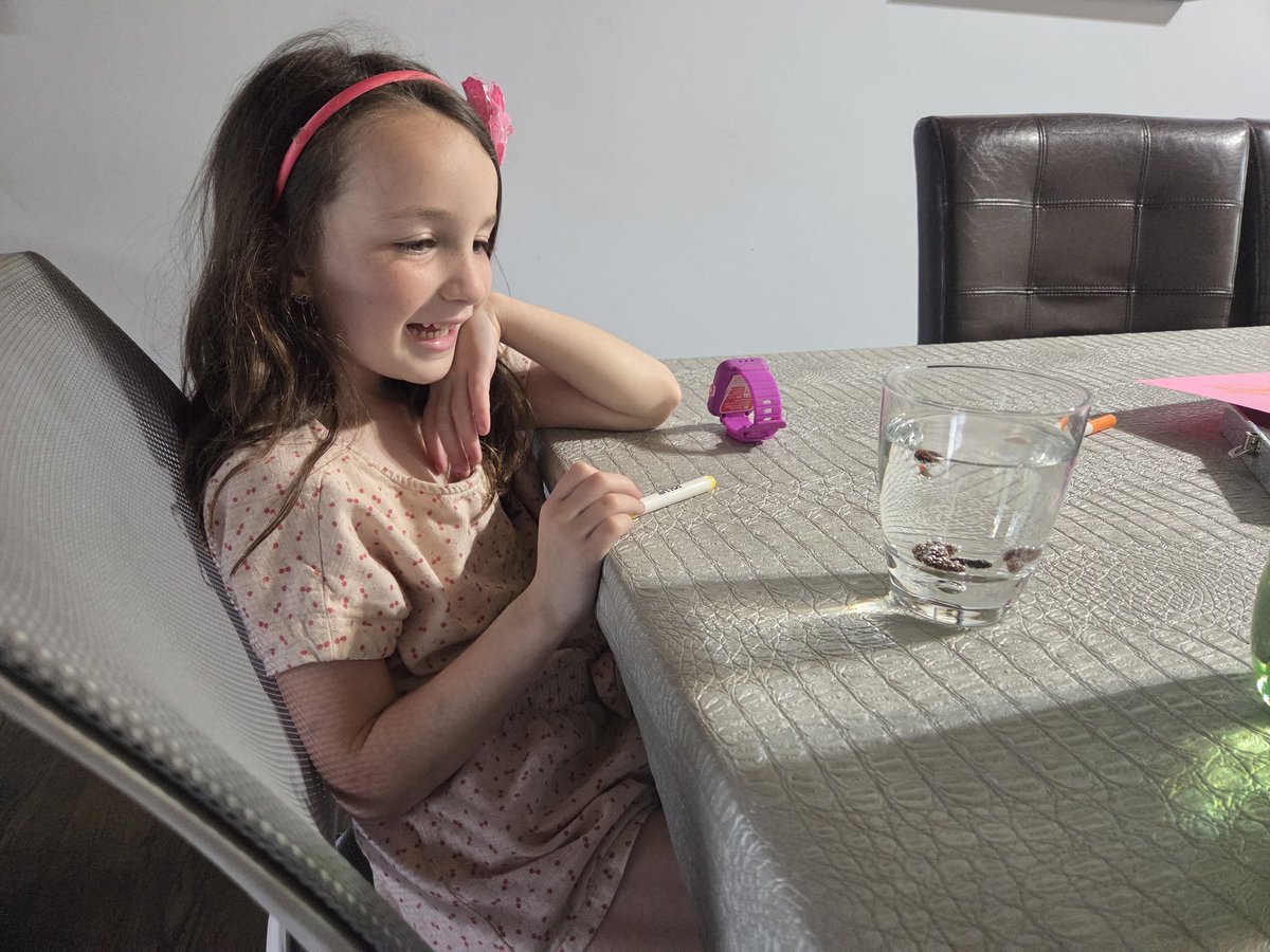 Josh Shpayher 🇺🇸🇮🇱🇺🇦🦅💉⚖🔬9⃣9⃣🍍⚾✡ tweet media