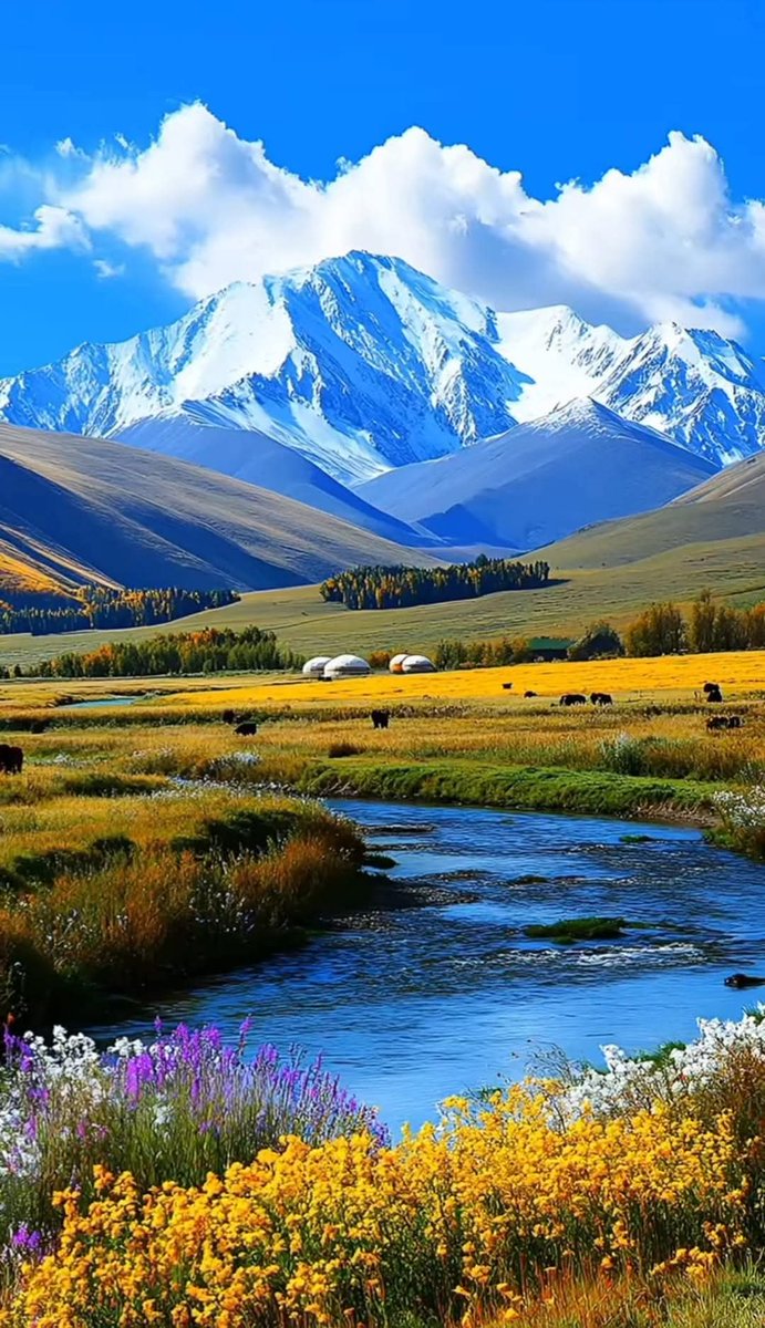 Сайхан амарцгаасан уу?.
Та бүхний өглөөний түмэн амгаланг айлтгая.