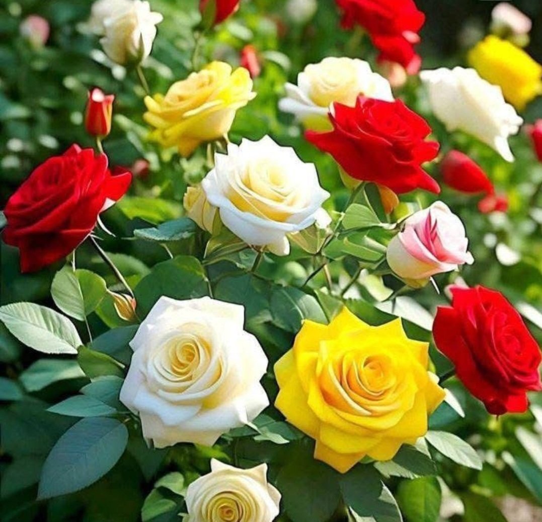 Сайхан өглөөний мэнд. Амжилт дүүрэн байгээ.