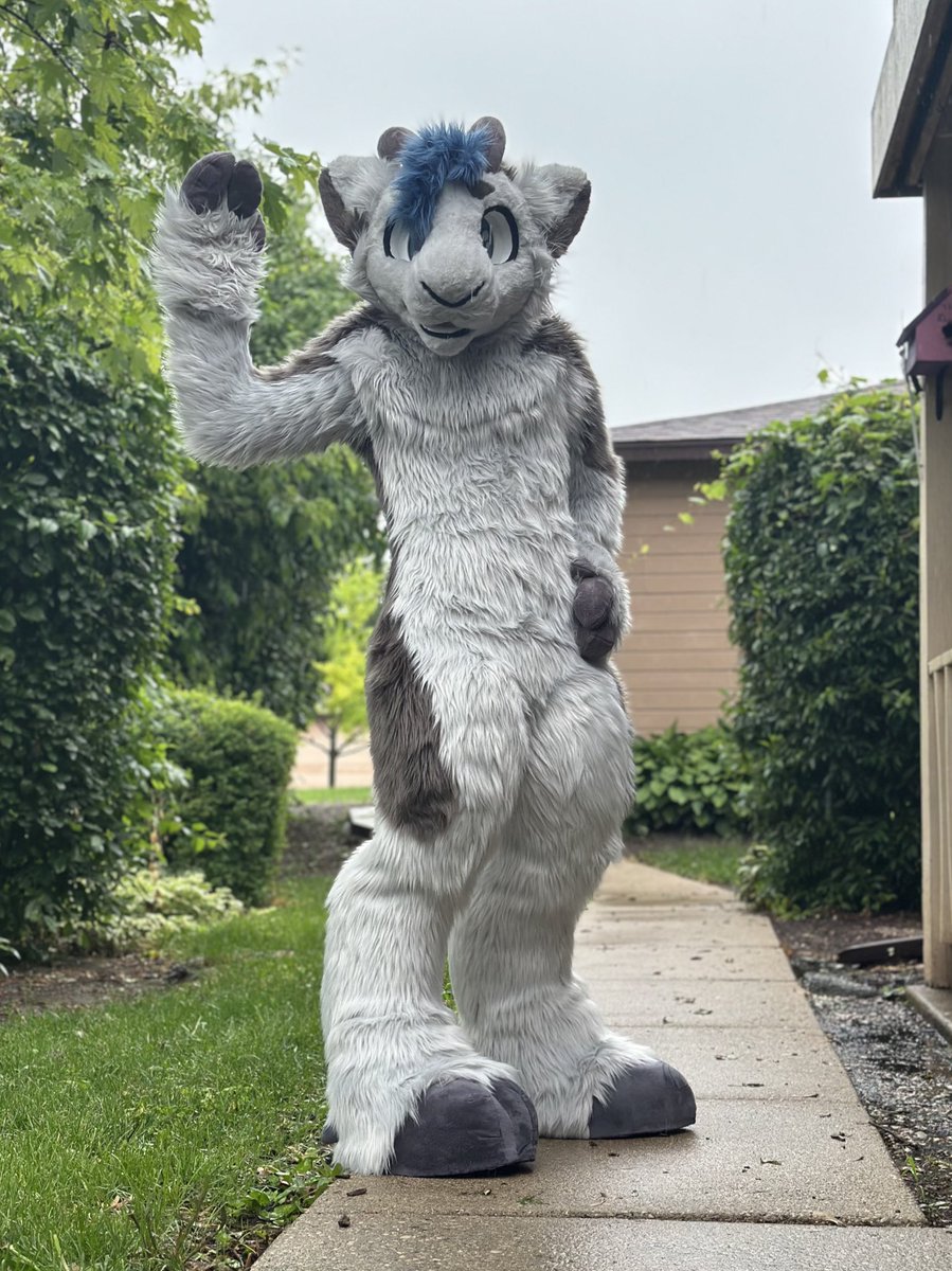 HydahGoat's tweet image. Just when you thought Hydah couldn’t get any fluffier…
HYDAH FULLSUIT