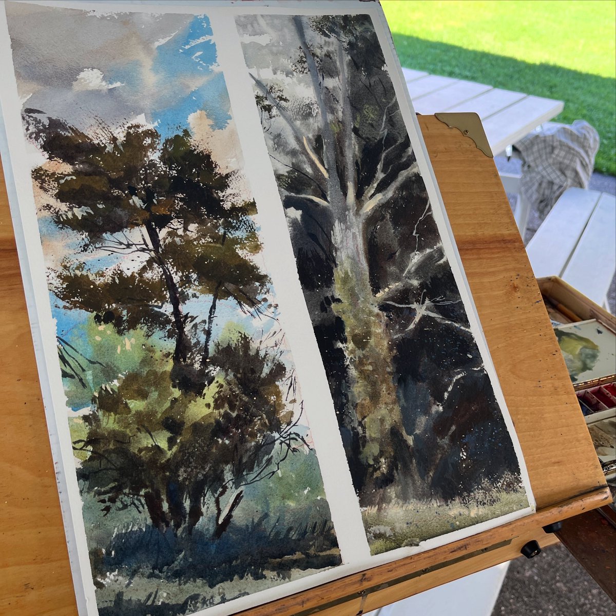 Jared_Cullum's tweet image. Plein air watercolor studies of some trees 🌳