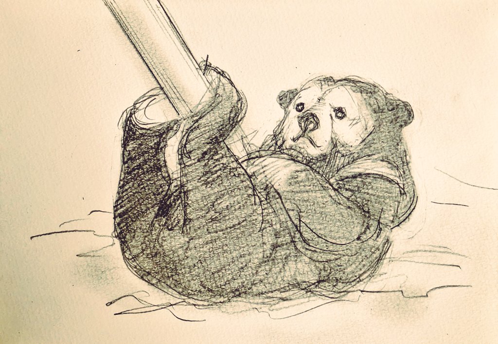 Polar＆Sun bear