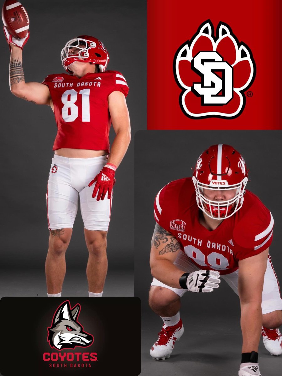 Matt Cowgill tweet media