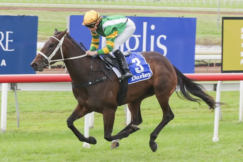 "I think she could easily knock over another one in the bush."

Calico Miss makes her TAB Highway debut at Randwick on Saturday and jockey Mikayla Weir is confident she can make her presence felt. 📸 <a href="/Bradley_Photos/">Bradley Photos</a> 

READ: tinyurl.com/4vy2zeav