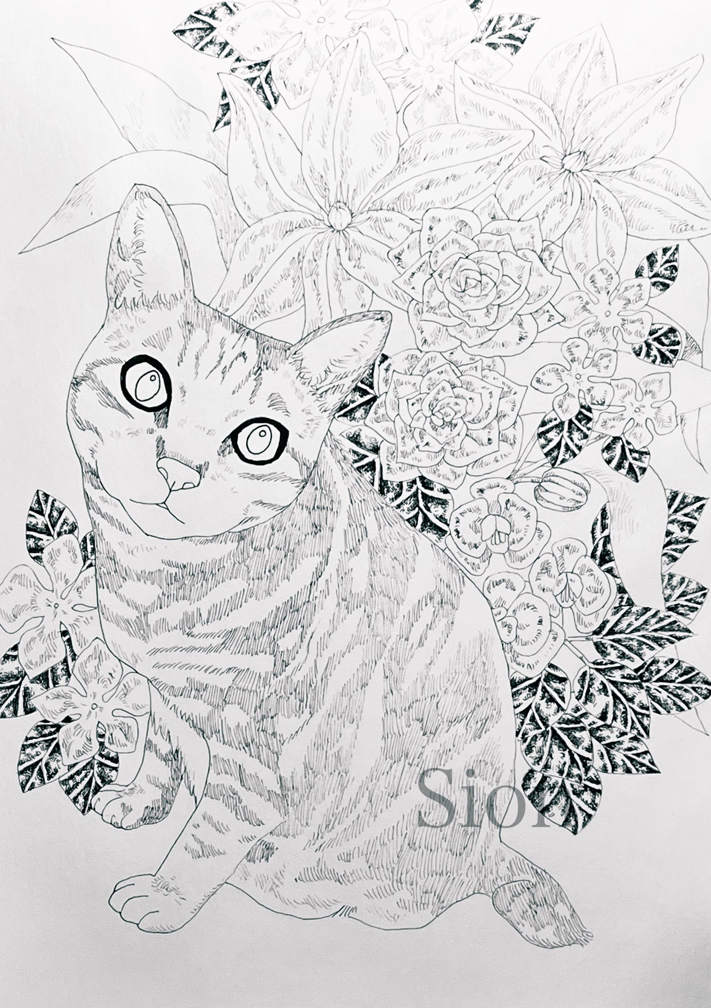 【2025】お歳暮・冬ギフト Sion on X:  絵画