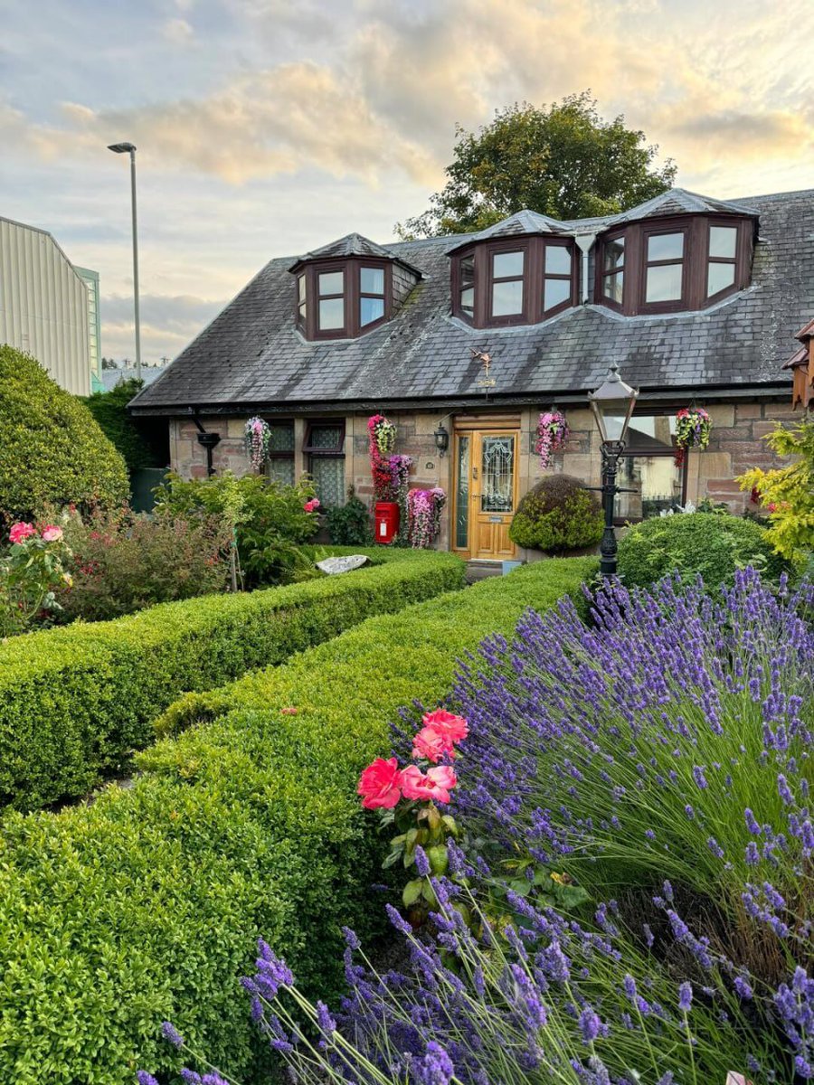 Helena (@xraniak1tommouf) on Twitter photo 