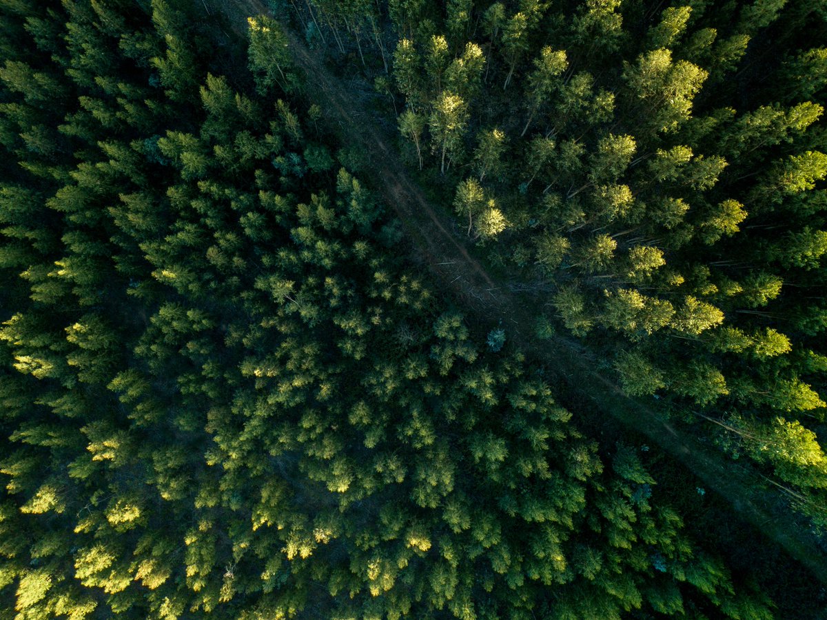 COFI_INFO's tweet image. 🌿 This week, we’re going to be at the BC Indigenous Resource Opportunities Conference (IROC), where the focus is on building meaningful partnerships that advance reconciliation, shared stewardship, and joint economic prosperity.
Across the forest sector, COFI members are…
