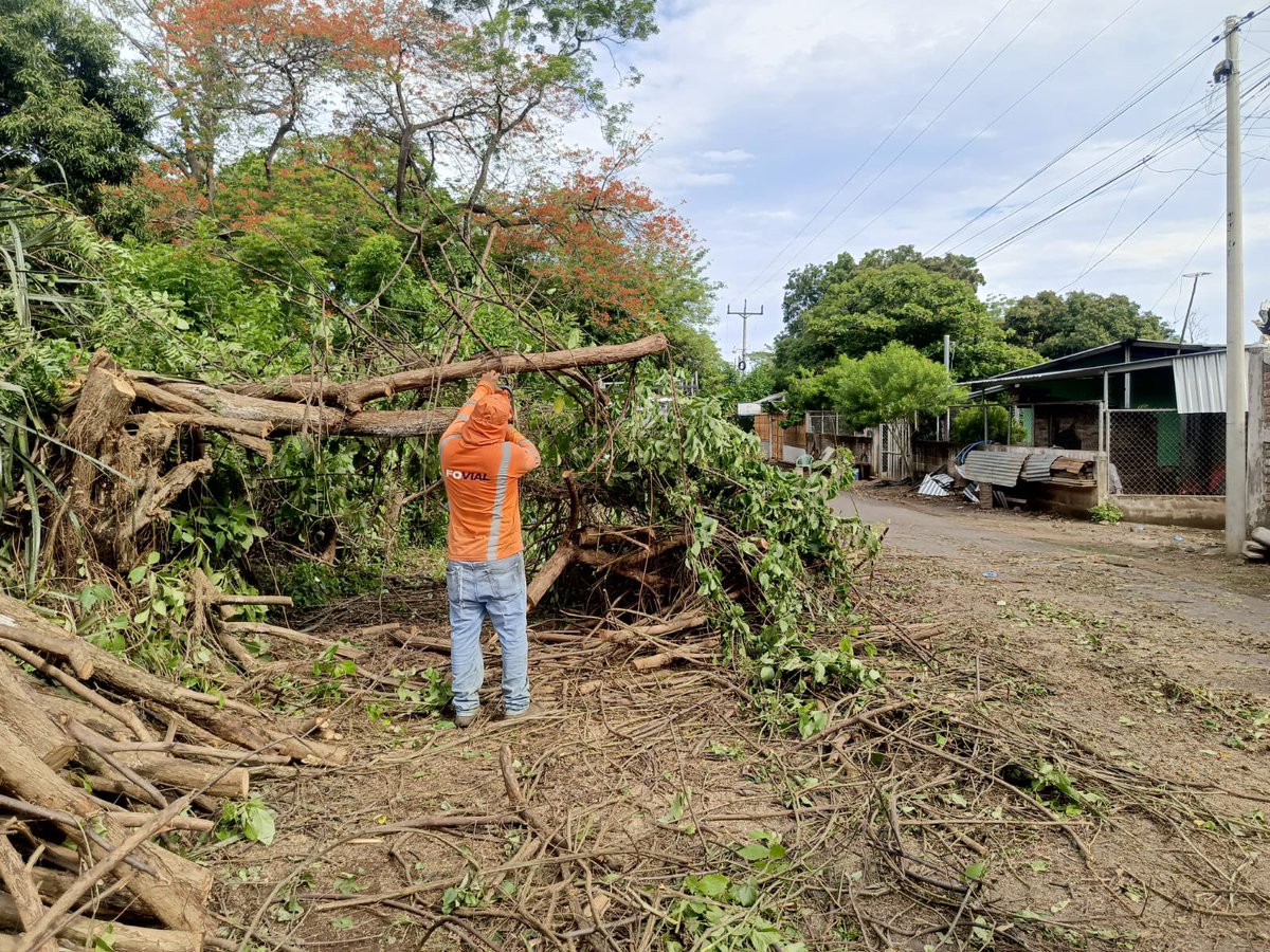 Trabajamos para mantener la conectividad, retiramos un árbol caído en la vía que conduce hacia Alegría, en Usulután.