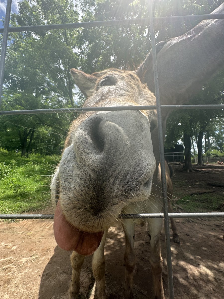 Emma Kramer tweet media