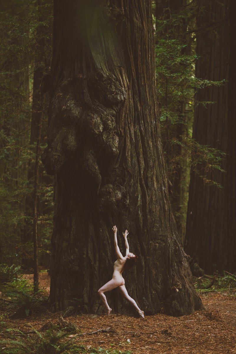 The forest is a place of worship 

<a href="/SatanMamma/">Realm of Hel</a> and The Redwoods