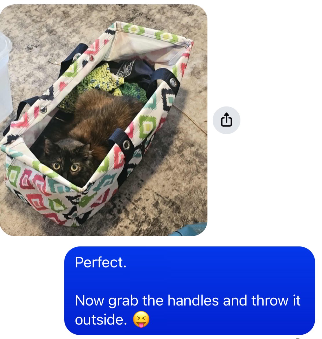 Ooooh Billy Billy Billy Billy (@old_billy_baroo) on Twitter photo My ex-wife is sending pictures of her cat .I’m not a cat person My ex-wife is sending pictures of her cat .I’m not a cat person