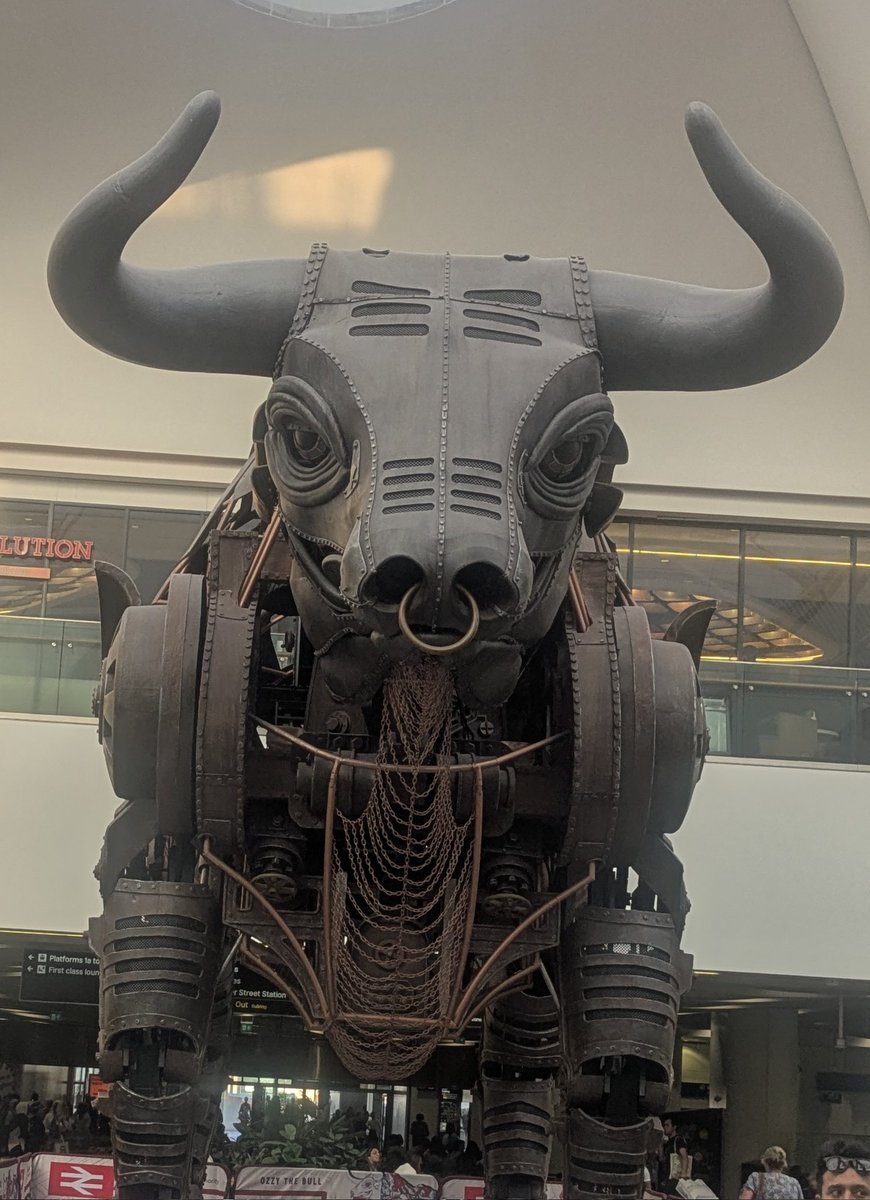 No Bull 🐂 ..... We have some great deals especially after 1pm .... Only £15.50 weekdays  for an adult event cheaper for seniors and juniors ... What's not to like ..
#bull #bully #ossie #Birmingham #golf #socialmedia