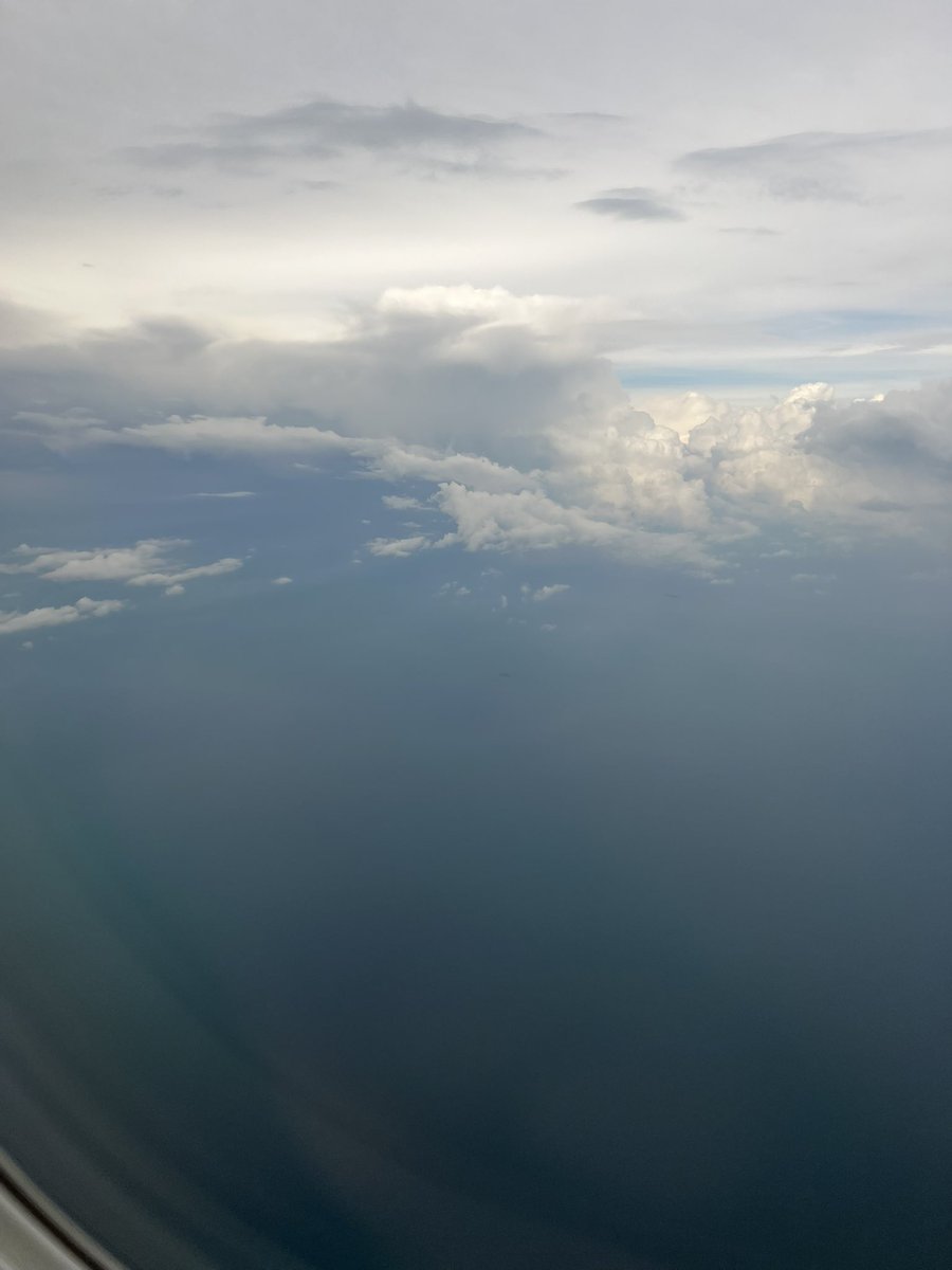 cryptoPk tweet media