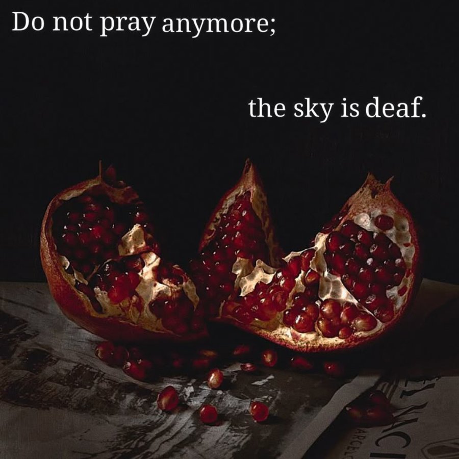 ⌞ 𝕭𝑹꩜𝑲𝑬𝑵 𝕯꩜𝑳𝑳 ⌝ tweet media