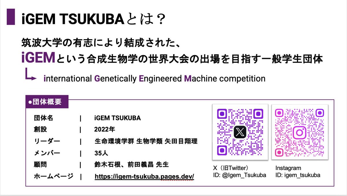 Igem_Tsukuba's tweet photo. 【iGEM TSUKUBA紹介】第1弾✨✨
改めまして、こんにちは iGEM TSUKUBAです！
私たちは筑波大学の学生で構成されたiGEM チームです🧪🧬
合成生物学の研究はもちろんのこと、教育活動にも力を入れています。チームを4つの班に分けて、充実した活動ができるように工夫しています！

#iGEM
#iGEMTSUKUBA https://t.co/1NO2Q4KDSA