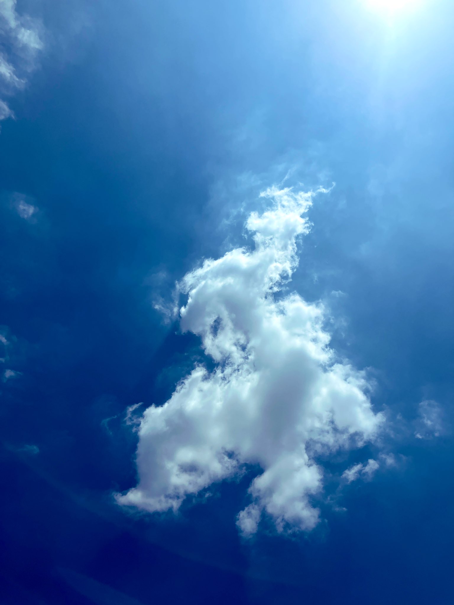 美雲(プロフ参照♡) さいきん こんばんは🌒ちょっと(？)お久しぶりですᐠ( ¨̮