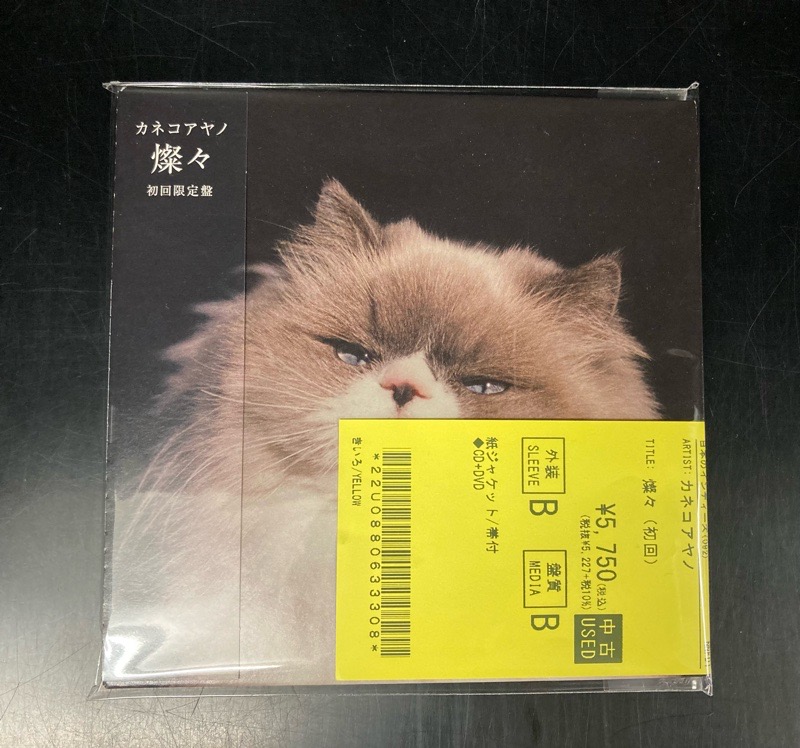 カネコアヤノ 燦々 レコード K107521748 - 邦楽新しい