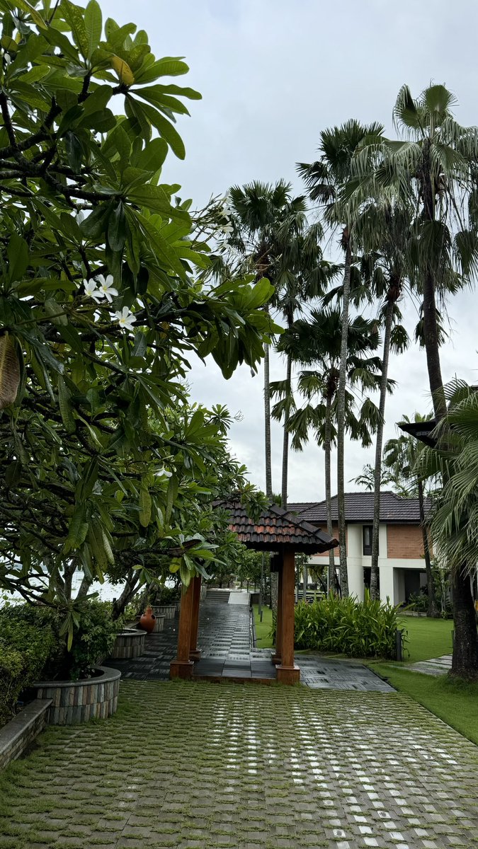 مرزوقه tweet media