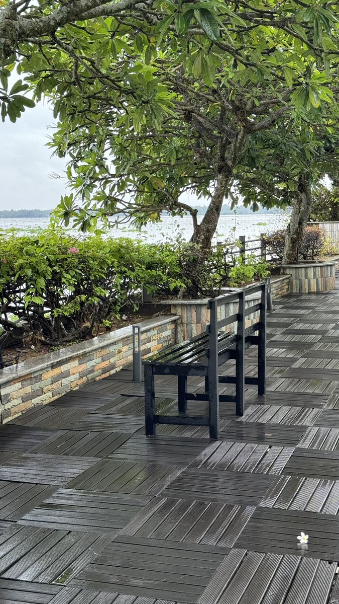 مرزوقه tweet media